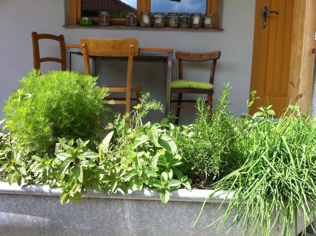 Traubengarten Winkler Niederhollabrunn Quarto foto