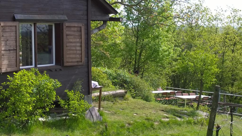 Traubengarten Winkler Niederhollabrunn Exterior foto
