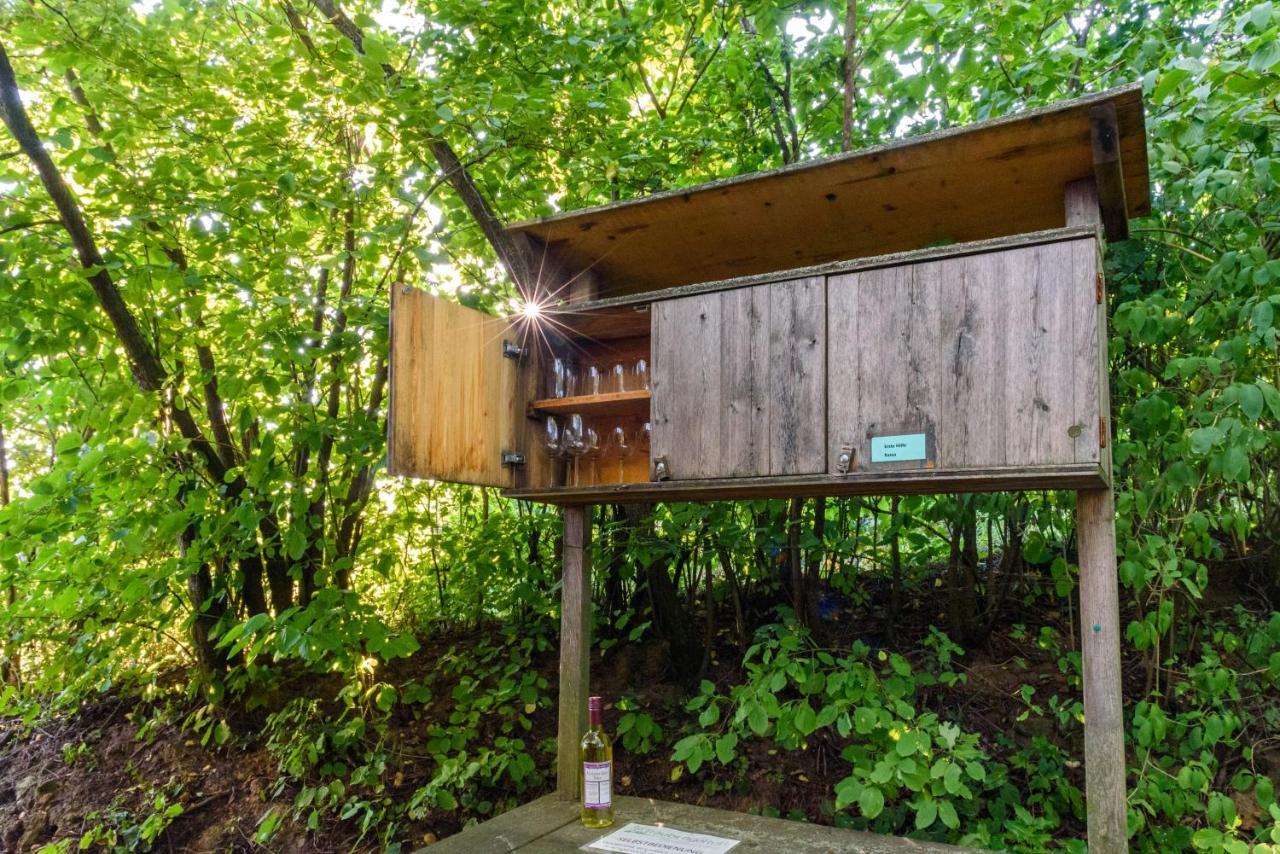 Traubengarten Winkler Niederhollabrunn Exterior foto